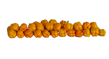 a number of large yellow peppers are picked