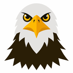 american bald eagle