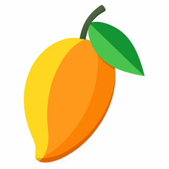 vector illustration of a mango