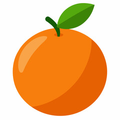orange fruit vector illustration