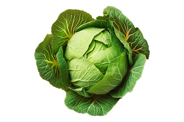 Obraz premium Whole green cabbage with vibrant outer leaves isolated on a transparent background. Fresh and organic vegetable concept, healthy food ingredient