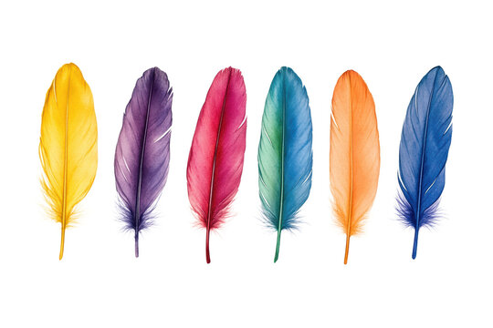 sets of colorful feathers isolated on transparent or white background, png
