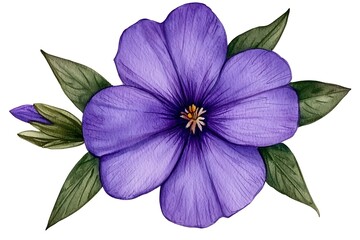 Fototapeta premium Watercolor Violet Flower Arrangement, Isolated on White Background