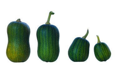 long, various caps stand in a row.