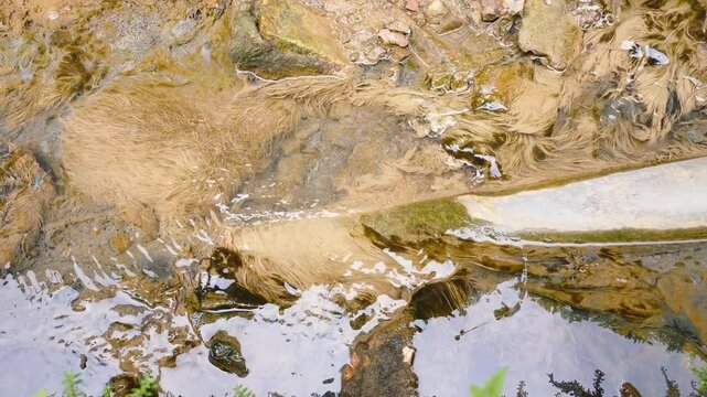 Trench worm ecosystem. Parasitic worms are ditched. silk worms are ditched.