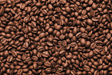 Numerous roasted coffee beans are arranged closely, highlighting their deep color and unique shapes.