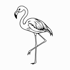 Obraz premium Flamingo Outline Icon, Black Stroke, Editable Vector, Exotic Bird Illustration