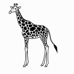 Naklejka premium Giraffe Outline Icon, Black Stroke, Editable Vector, Tall Animal Illustration