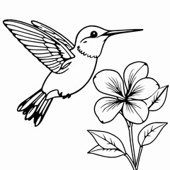 Fototapeta premium Hummingbird Outline Icon, Black Stroke, Editable Vector, Delicate Bird Illustration,
