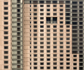 fachada armónicamente estructural