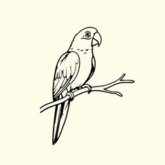 Fototapeta premium Parrot Outline Icon, Exotic Bird Vector, Editable Stroke, Minimalist Black Illustration