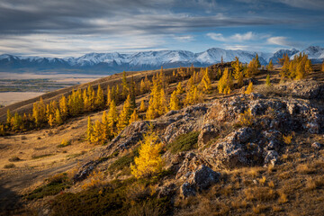 Autumn trees with golden foliage covering a rugged hillside with majestic mountains in background