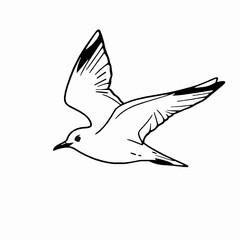 Obraz premium Seagull Outline Icon, Black Stroke, Editable Vector, Coastal Bird Illustration