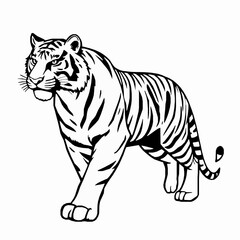 Obraz premium Tiger Outline Icon, Black Stroke, Editable Vector, Jungle Predator Illustration