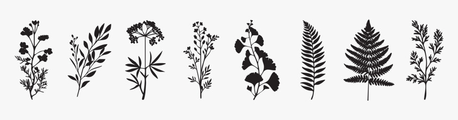Naklejka premium Botanical silhouettes in elegant arrangement isolated illustration, vector set