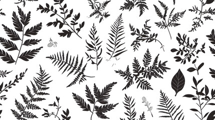Black and white botanical illustration featuring various ferns and leaves.