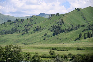 mountain landscape in the summer
