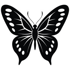 Vector illustration of butterfly on white background. There are two versions, black shape and black and white. Butterflies silhouette. 