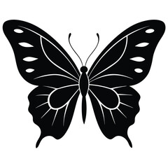 Vector illustration of butterfly on white background. There are two versions, black shape and black and white. Butterflies silhouette. 