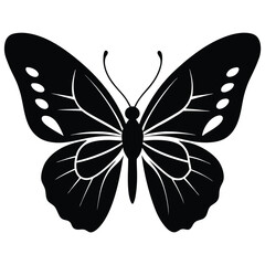 Vector illustration of butterfly on white background. There are two versions, black shape and black and white. Butterflies silhouette. 