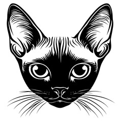 Chubby Cornish Rex cat head linear art illustration drawing vector
