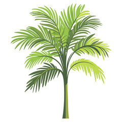 Fototapeta premium Tropical green tree illustration leaves plant vector