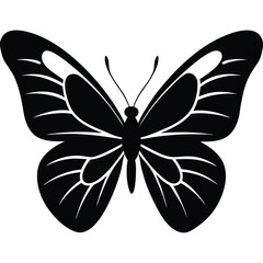 Vector illustration of butterfly on white background. There are two versions, black shape and black and white. Butterflies silhouette. 