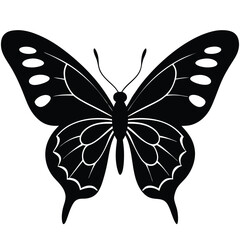 Vector illustration of butterfly on white background. There are two versions, black shape and black and white. Butterflies silhouette. 