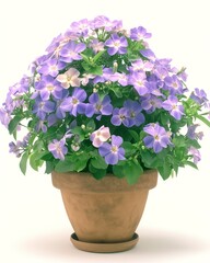 Flowers in a pot display vibrant blooms and lush foliage