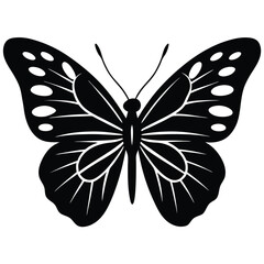 Vector illustration of butterfly on white background. There are two versions, black shape and black and white. Butterflies silhouette. 