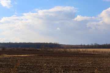 The image shows a rural landscape with a freshly plowed field in the foreground and a forest in the...