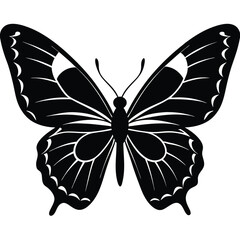 Vector illustration of butterfly on white background. There are two versions, black shape and black and white