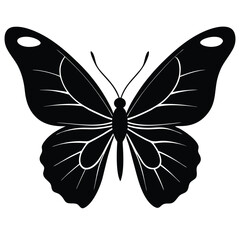 Vector illustration of butterfly on white background. There are two versions, black shape and black and white. Butterflies silhouette. 