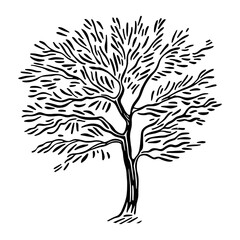 Obraz premium Tree drawing art white vector