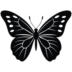 Vector illustration of butterfly on white background. There are two versions, black shape and black and white. Butterflies silhouette. 