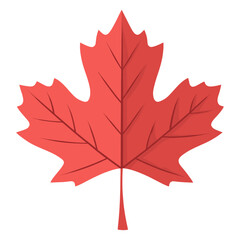 Maple leaf illustration autumn dynamite vector