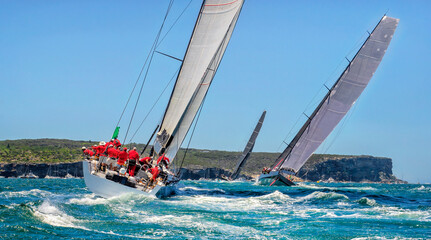 Sailing yachts regatta. Yachting. Sailing race  Australia