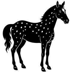 Appaloosa horse silhouette vector illustration 
