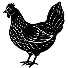 Araucana chicken silhouette vector illustration 