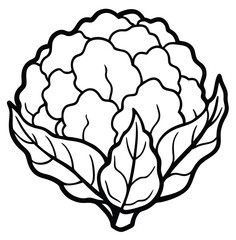 Cauliflower vegetable outline black and white cute drawing. The vegetable is the main focus of the image. The vegetable adds a touch of nature and freshness to the scene. The image is simple and clear