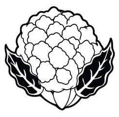 Cauliflower vegetable outline black and white cute drawing. The vegetable is the main focus of the image. The vegetable adds a touch of nature and freshness to the scene. The image is simple and clear