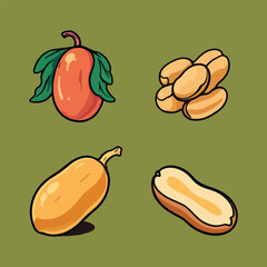 Peanuts and Loquat Fruit: Cartoon Vector Illustration