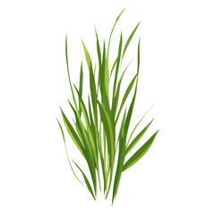 Obraz premium Flat vector of wild grass illustration plant green vector