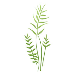 Obraz premium Flat vector of wild grass leaves leaf illustration vector