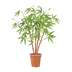 Fototapeta premium Potted bamboo plant illustration potted leaf vector