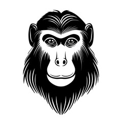 Obraz premium Mandrill monkey face linear illustration animal vector vector