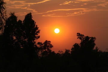 sunset in my backyard