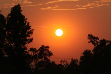 sunset in my backyard