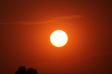 sunset in my backyard