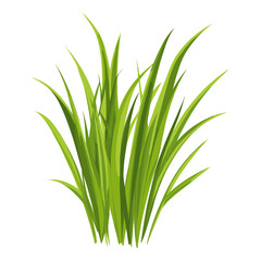 Obraz premium Green grass illustration plant art vector